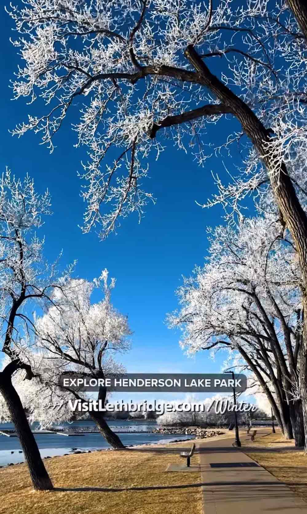 Explore Henderson Park in Winter